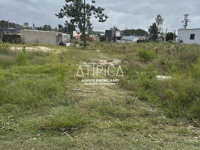 #223 - Terreno o Lote para Venta en Punta del Este - UY-MA - 1