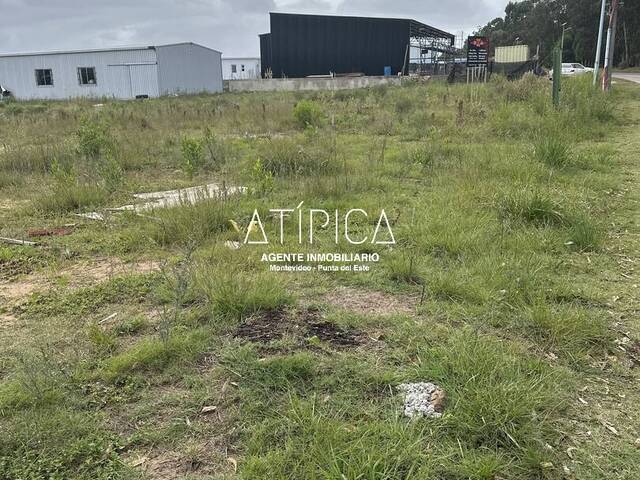 #223 - Terreno o Lote para Venta en Punta del Este - UY-MA - 2