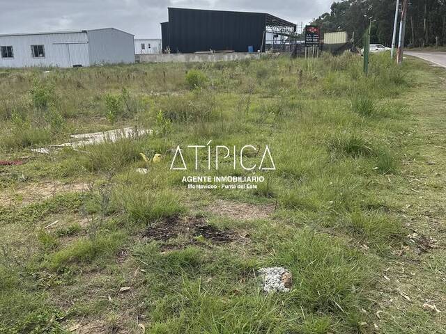 #223 - Terreno o Lote para Venta en Punta del Este - UY-MA - 3