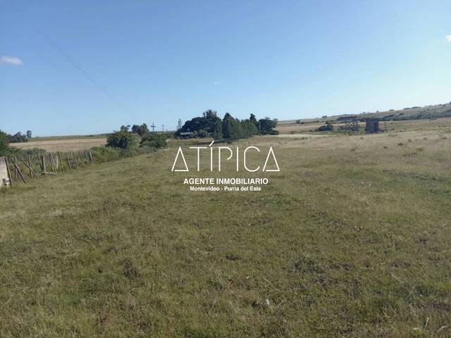 #226 - Chacra para Venta en Punta del Este - UY-MA - 1