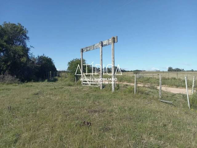 #226 - Chacra para Venta en Punta del Este - UY-MA - 2