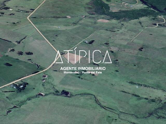 Chacra para Venta en Punta del Este - 4
