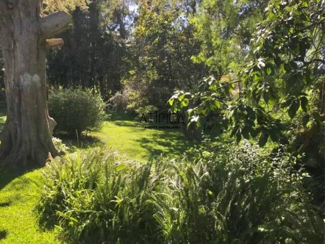 #231 - Casa para Alquiler en Punta del Este - UY-MA - 3
