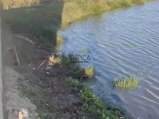 Campo Productivo para Venta en San Carlos - 5