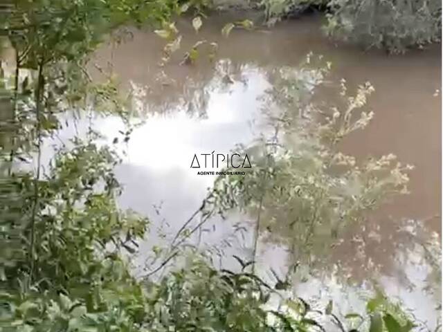 Campo Productivo para Venta en San Carlos - 4