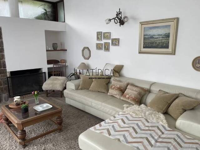 Casa para Alquiler en Punta del Este - 4