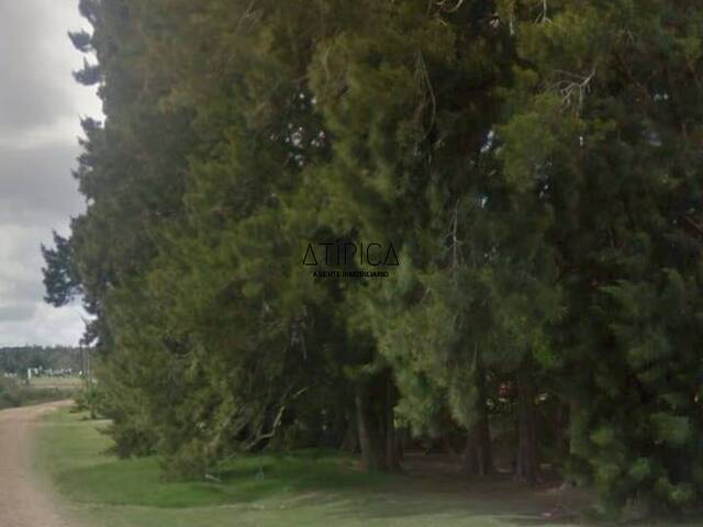 #235 - Terreno o Lote para Venta en Punta del Este - UY-MA - 2
