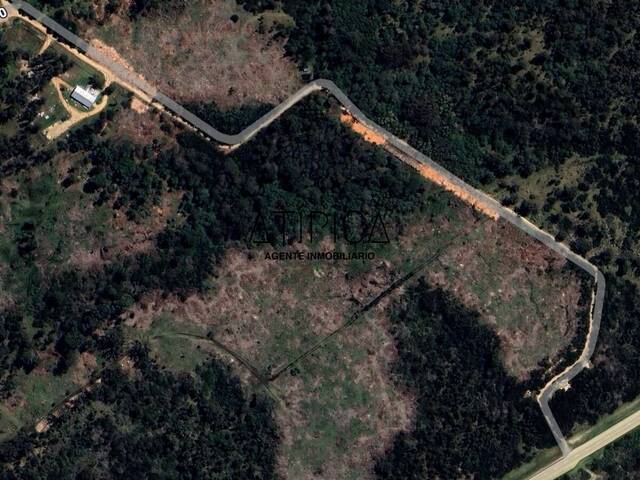 #243 - Obra Nueva/PROYECTO para Venta en Punta del Este - UY-MA - 1