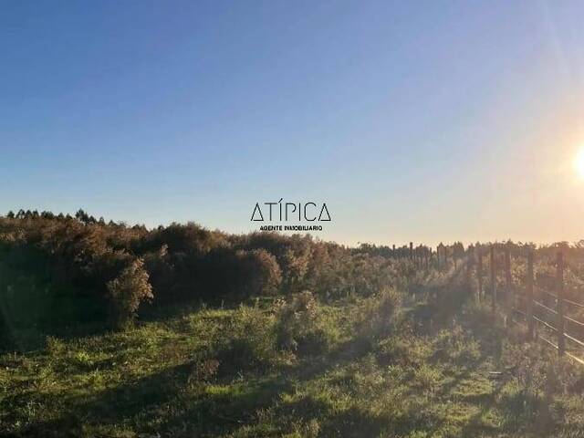Chacra para Venta en Punta del Este - 4