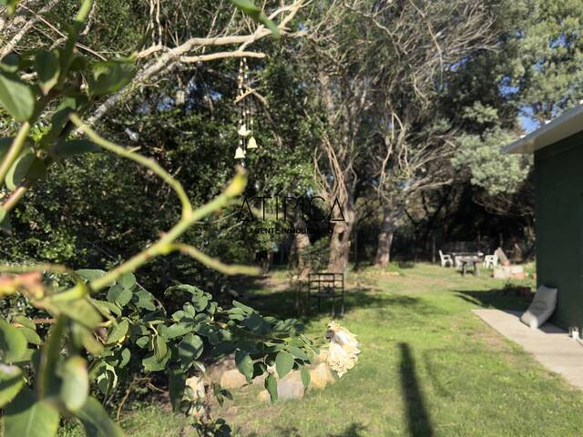 #256 - Casa para Venta en Punta del Este - UY-MA - 3