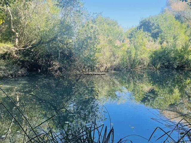 #257 - Campo Productivo para Venta en Punta del Este - UY-MA - 2