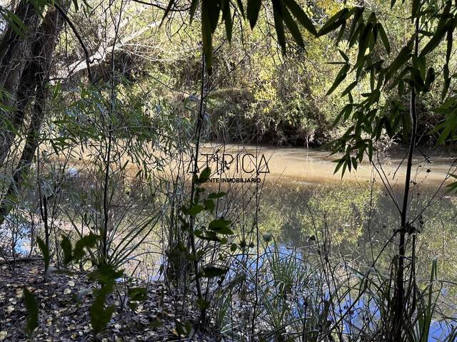 #257 - Campo Productivo para Venta en Punta del Este - UY-MA - 1