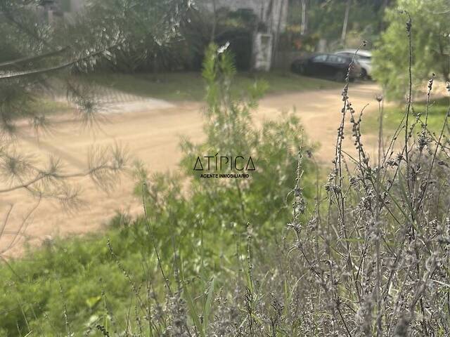 Terreno o Lote para Venta en Punta del Este - 4