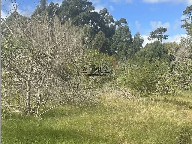 #263 - Terreno o Lote para Venta en Punta del Este - UY-MA - 1