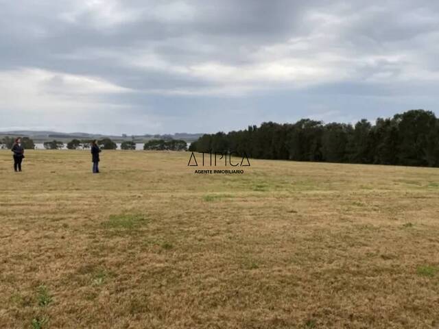 Terreno o Lote para Venta en Punta del Este - 5