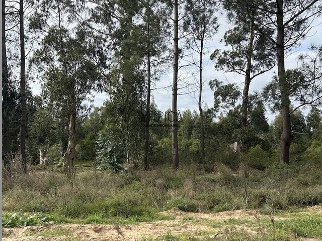 #268 - Terreno o Lote para Venta en Punta del Este - UY-MA - 1