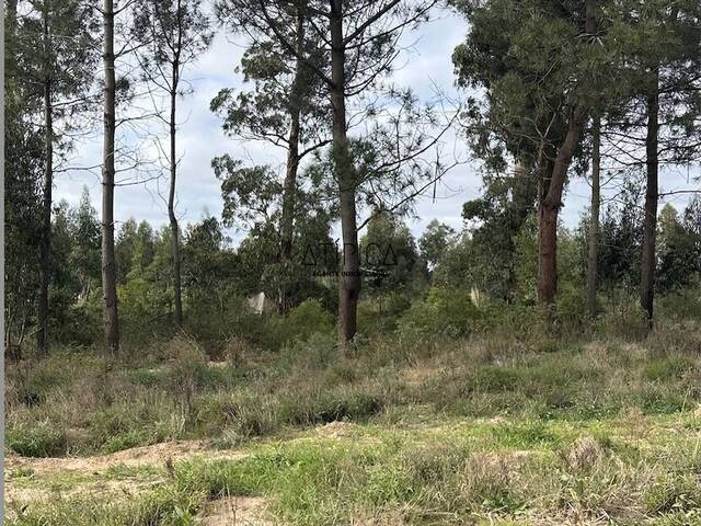 #268 - Terreno o Lote para Venta en Punta del Este - UY-MA - 3