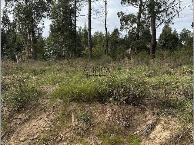 Terreno o Lote para Venta en Punta del Este - 4