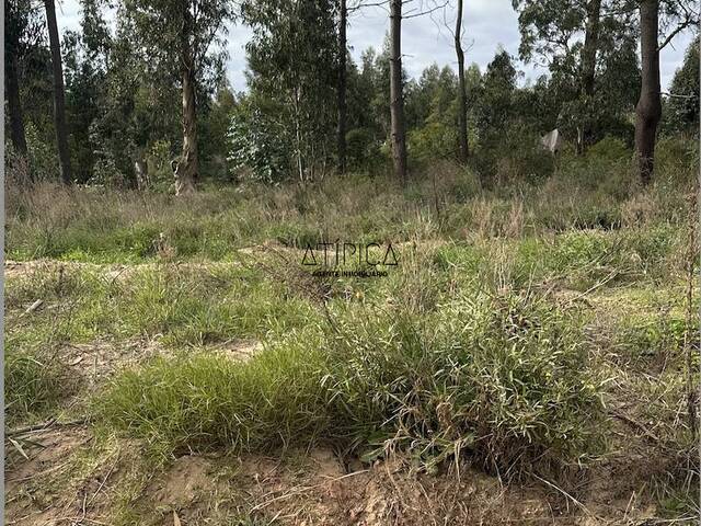 Terreno o Lote para Venta en Punta del Este - 5