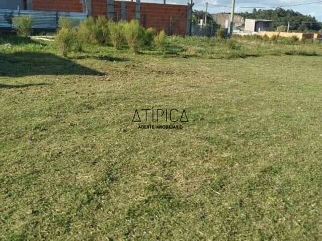 #269 - Terreno o Lote para Venta en Maldonado - UY-MA - 1