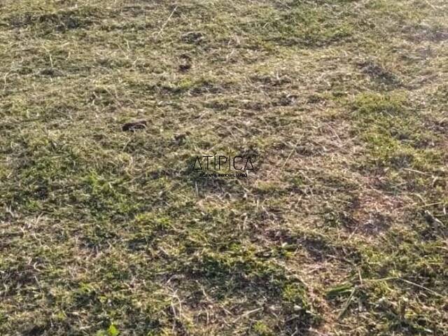 #269 - Terreno o Lote para Venta en Maldonado - UY-MA - 3