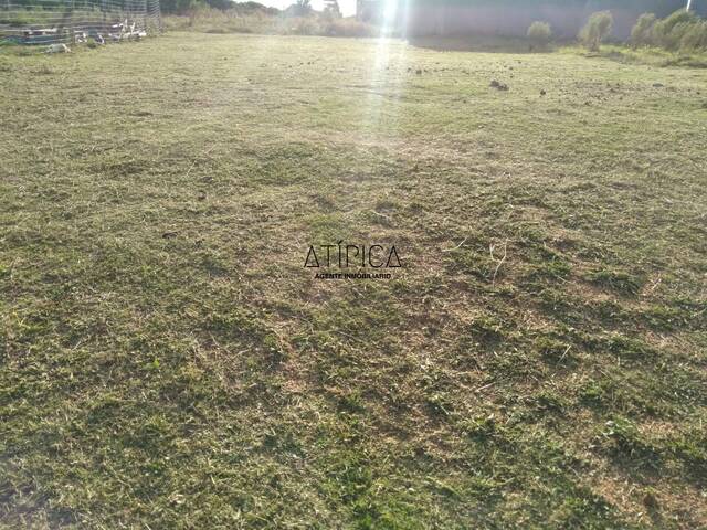 Terreno o Lote para Venta en Maldonado - 4