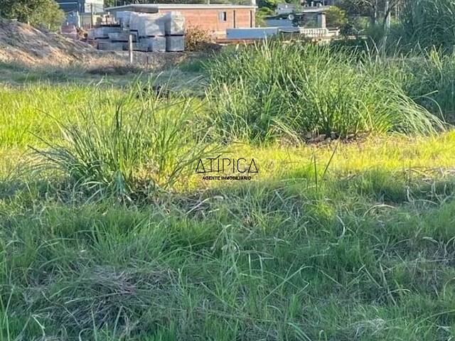 #274 - Terreno o Lote para Venta en Punta del Este - UY-MA - 2