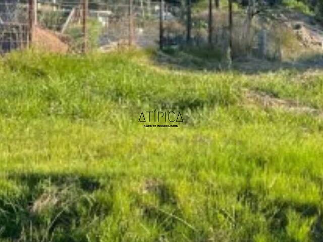 #274 - Terreno o Lote para Venta en Punta del Este - UY-MA - 1