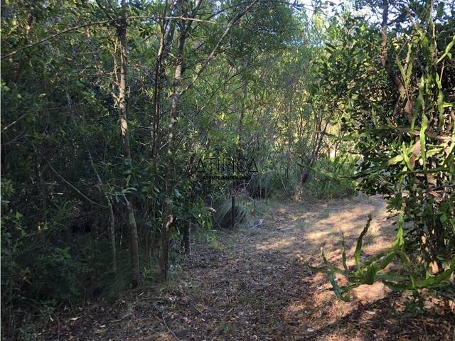 Chacra para Venta en Punta del Este - 4
