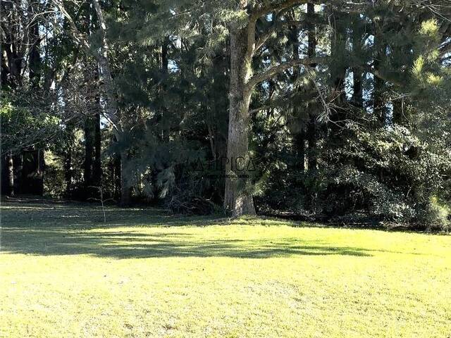 #235 - Terreno o Lote para Venta en Punta del Este - UY-MA - 3
