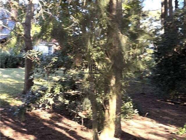 Terreno o Lote para Venta en Punta del Este - 5