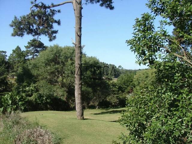 #279 - Obra Nueva/PROYECTO para Venta en Punta del Este - UY-MA - 1