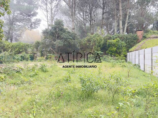 #280 - Terreno o Lote para Venta en Punta del Este - UY-MA - 1