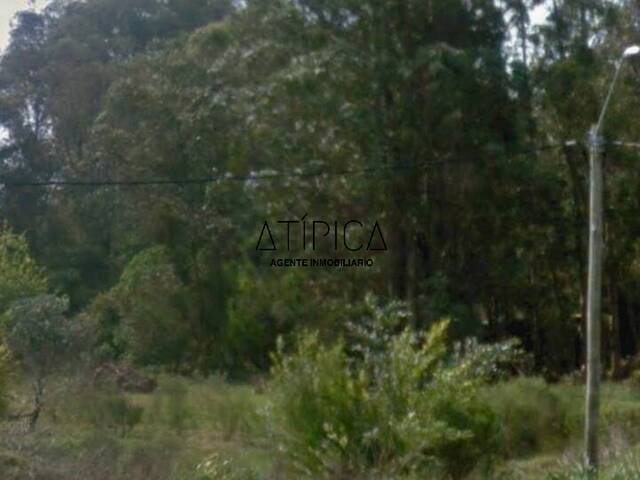 #282 - Terreno o Lote para Venta en Punta del Este - UY-MA - 3