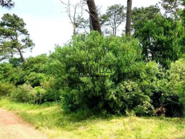 #287 - Terreno o Lote para Venta en Punta del Este - UY-MA - 1