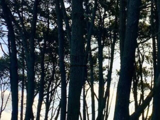 #282 - Terreno o Lote para Venta en Punta del Este - UY-MA - 1