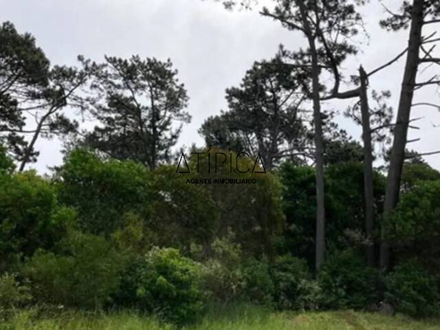 #284 - Terreno o Lote para Venta en Punta del Este - UY-MA - 3