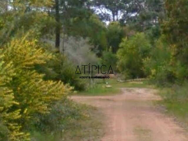#284 - Terreno o Lote para Venta en Punta del Este - UY-MA - 2