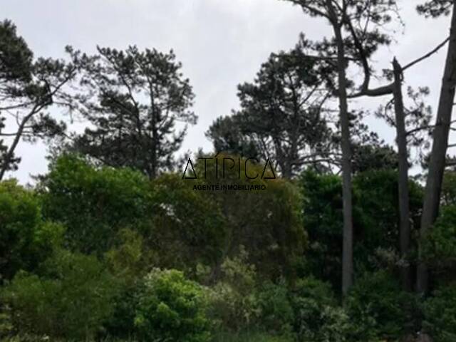 #285 - Terreno o Lote para Venta en Punta del Este - UY-MA - 2