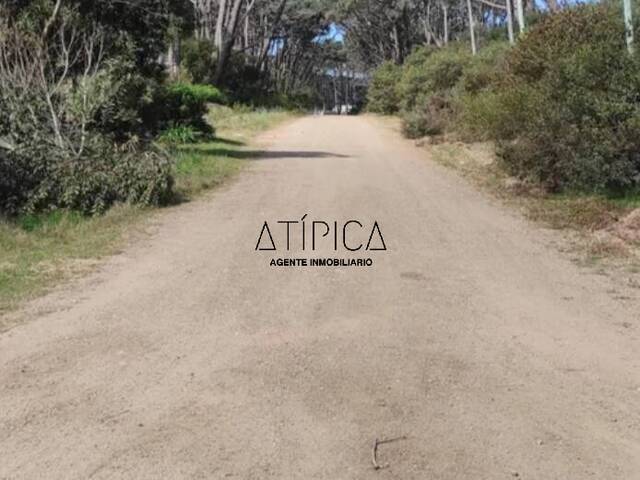 #285 - Terreno o Lote para Venta en Punta del Este - UY-MA - 1