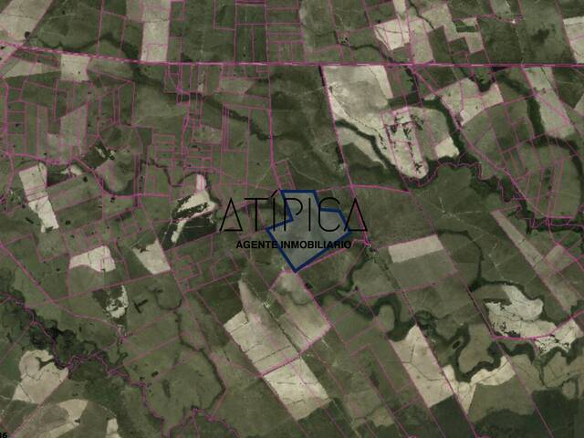#213 - Campo Productivo para Venta en Vergara - UY-TT - 3