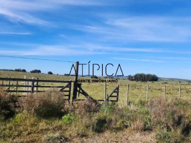 #291 - Chacra para Venta en Punta del Este - UY-MA - 2