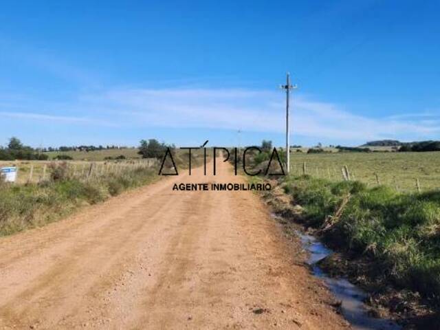 Chacra para Venta en Punta del Este - 4