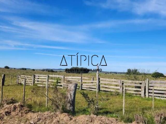 Chacra para Venta en Punta del Este - 5