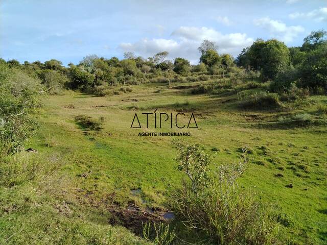#292 - Chacra para Venta en Punta del Este - UY-MA - 2