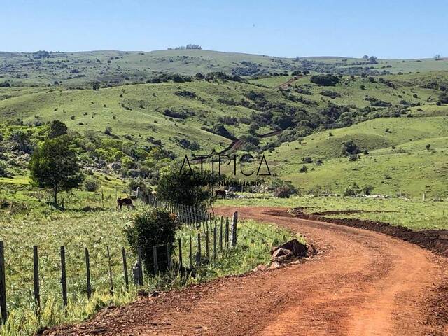 #293 - Chacra para Venta en Minas - UY-LA - 2