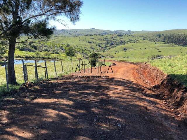 #293 - Chacra para Venta en Minas - UY-LA - 1