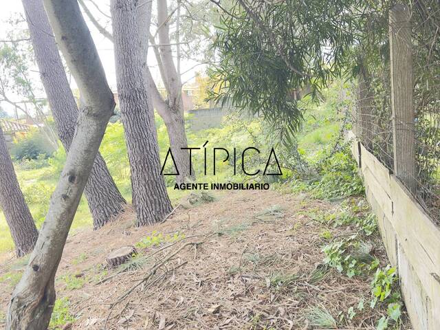 Terreno o Lote para Venta en Punta del Este - 4
