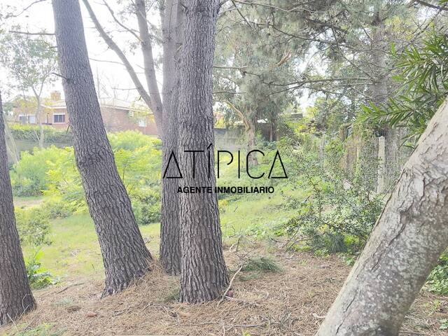 Venta en Pinares - Punta del Este