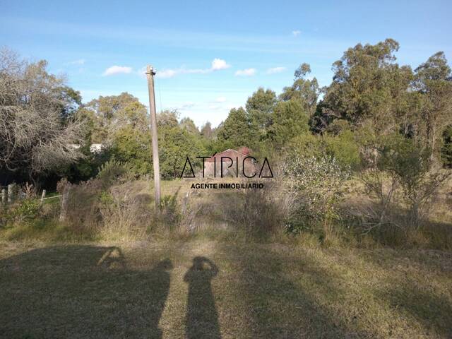 #299 - Campo Productivo para Venta en Aiguá - UY-MA - 3